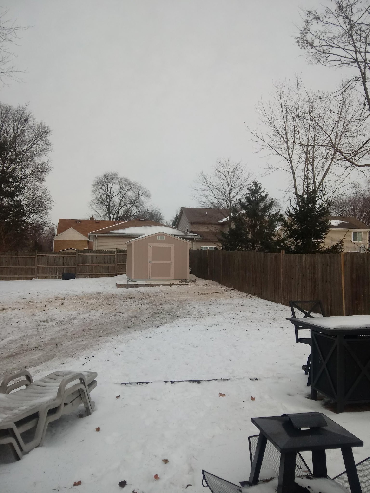 After tree removal service